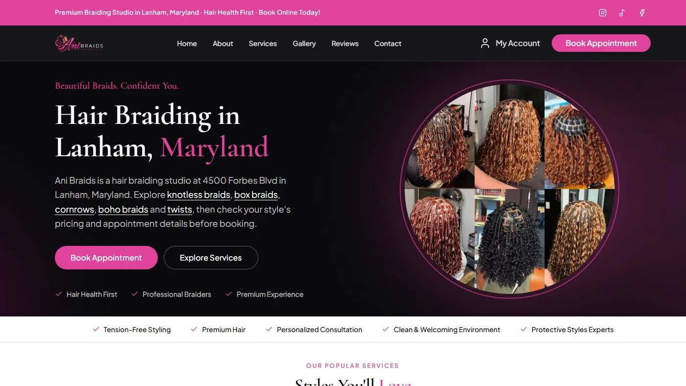 Ani Braids website homepage preview